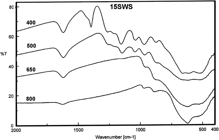 FTIR spectra of SWS catalysts calcined at different temperatures.