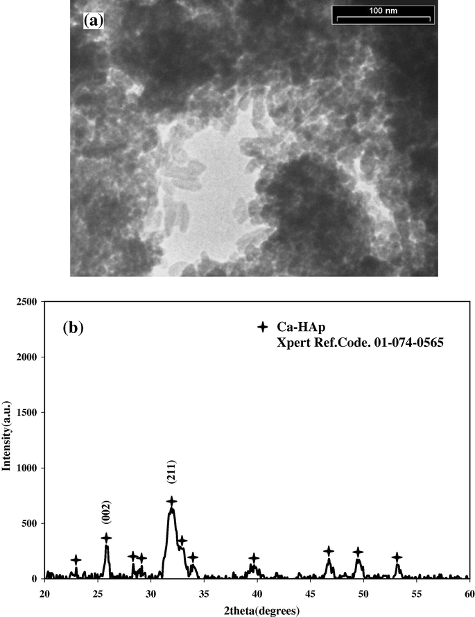 TEM micrograph (a) and XRD pattern (b) of calcium nanocrystalline hydroxyapatite after drying at 100 °C.