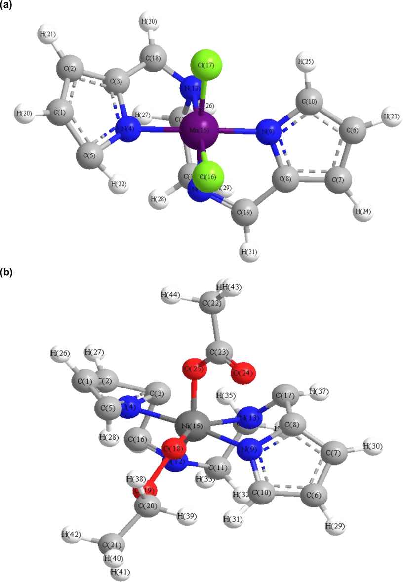 (a) Optimized structure of complex I. (b) Optimized structure of complex III.