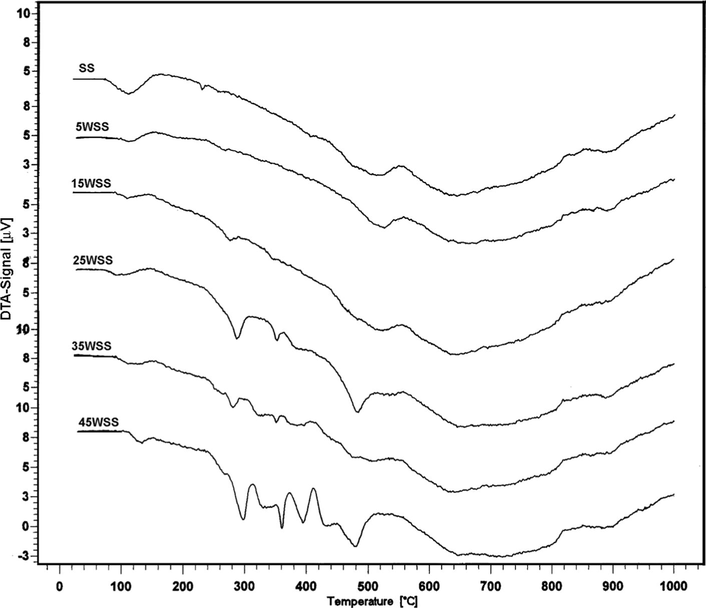 DTA curves of SS and WSS catalysts.