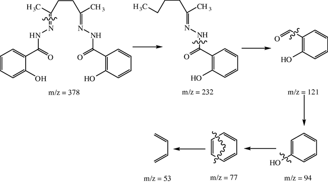 Fragmentation pattern of the ligand.