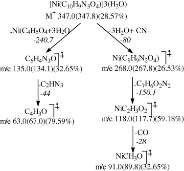 A proposed fragmentation pattern of [Ni(CFH)(OAc)]3H2O.