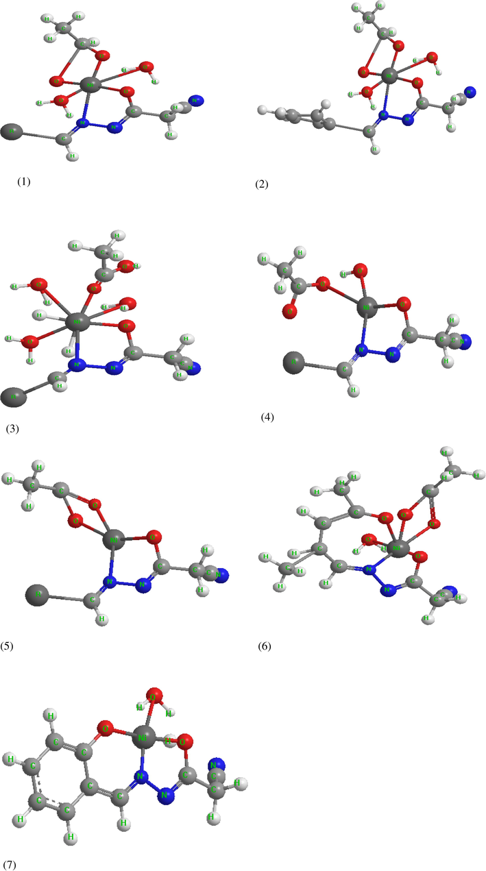 The modeling structures of the investigated complexes.
