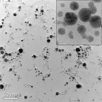 TEM image of bimetallic Pt–Au nanoparticle sample prepared by irradiating the precursor solution with femtosecond laser of 1000 Hz for 10 min.