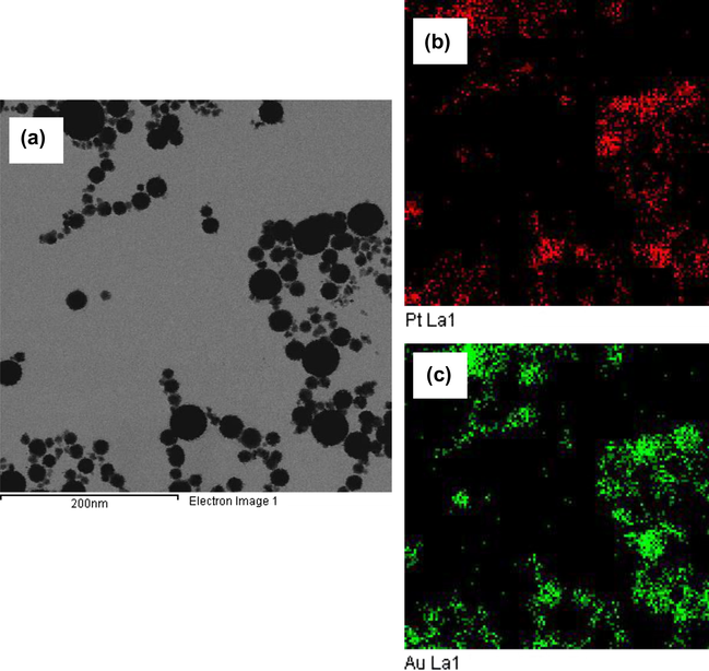 TEM image and Energy-dispersive X-ray (EDS) mapping of bimetallic Pt–Au nanoparticles formed by irradiating the precursor solution without PVP for 15 min.