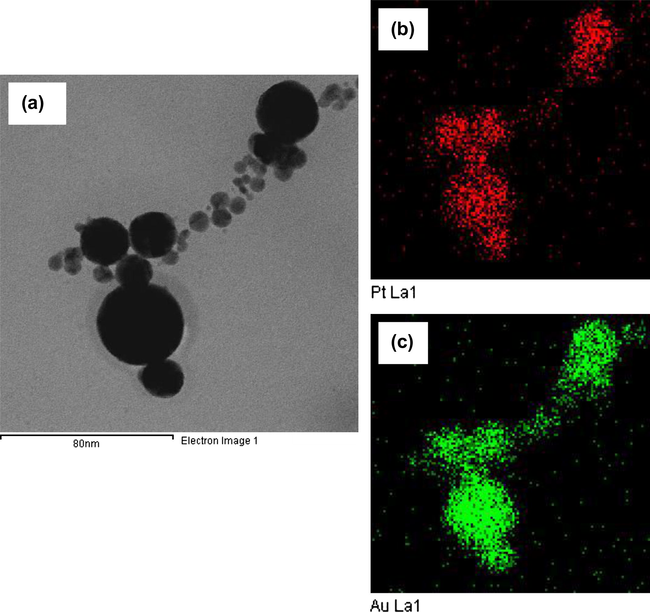 TEM image and Energy-dispersive X-ray (EDS) mapping of bimetallic Pt–Au nanoparticles formed by irradiating the precursor solution without PVP for 30 min.