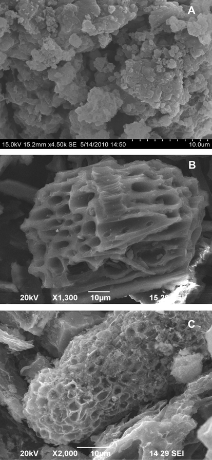 Surface morphology of the (A) pure TiO2; (B) pure CAC and (C) CAC–TiO2 mixture.