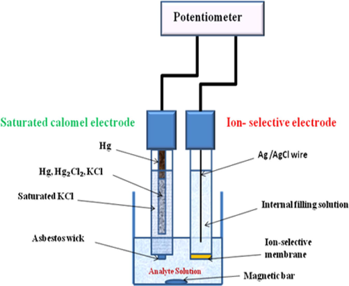Schematic diagram of a conventional ion-selective membrane, measuring cell.