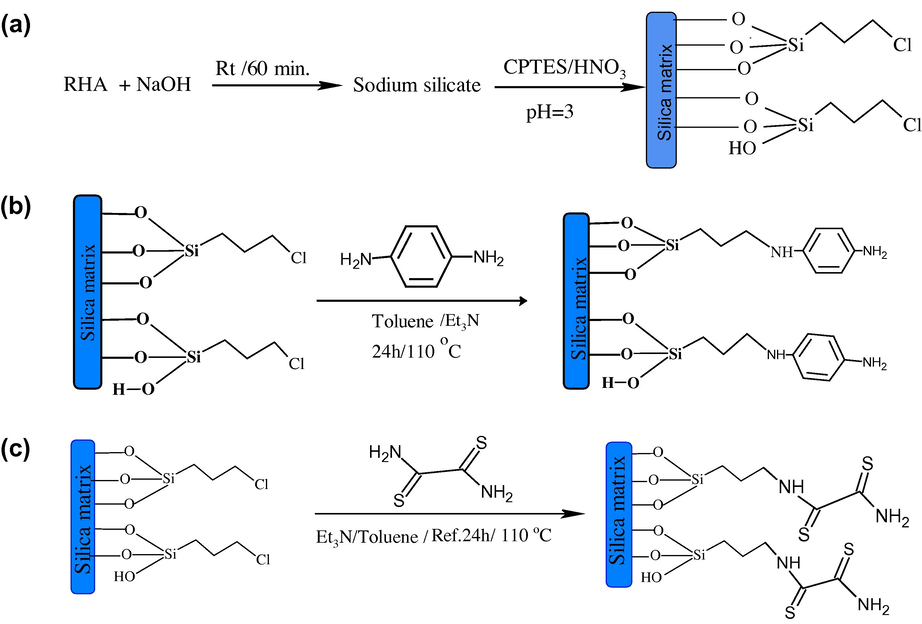 The reaction sequence for the synthesis of (a) RHACCl (Adam et al., 2009b), (b) RHAPDA, and (c) RHADTO. The possible structures of the catalyst and the approximate times taken for the completion of the experimental process are also shown.