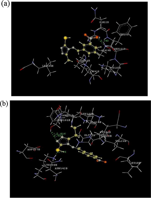 (a): Hydrogen bond interactions and charge interactions of HL; (b): hydrogen bond interactions and charge interactions of HL-Co.