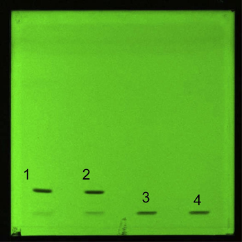 HPTLC plate of sonication and sono-oxidation of MRSS, mobile phase: chloroform 100%; detection wavelength: 466 nm, silica gel glass HPTLC plate 60 F254 (10 × 10 cm). Legend: 1: condition n° 1, 2: condition n° 2, 3: condition n° 3, 4: condition n° 4.
