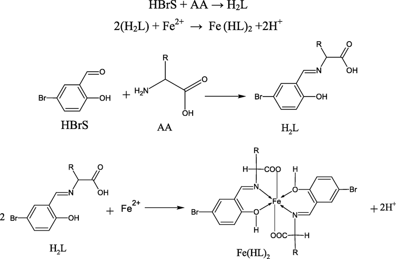 HBrS = 5-bromosalicylaldehyde, AA = amino acid (ala, phala, aspa, his or arg), H2L = Schiff base amino acid ligand, Fe(HL)2 = Fe(II) Schiff base amino acid complexes (bsali, bsphali, bsasi, bshi or bsari).