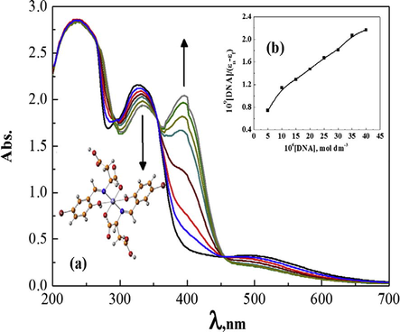 (a) Spectrophotometeric titration of bsasi complex (10−4 M) in 0.01 M Tris buffer (pH 7.5, 25 °C) with CT DNA (from top to bottom, 0–40 μM DNA, at 5 μM intervals). (b) Plot of [DNA]/(εa−εf) vs. [DNA] for the titration of DNA with bsasi complex.