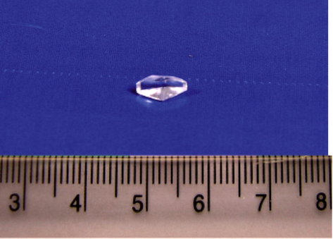 Harvested seed crystal of α-Glycine.