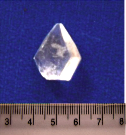 γ-Glycine crystal (1:0.9).