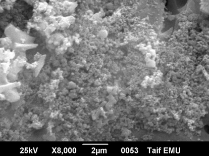 SEM image of [MA (QL)2] complex.