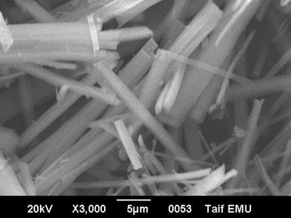 SEM image of [MA (PA)2] complex.