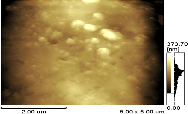 AFM structure of DBP sample stabilized by 3% Centralite I.