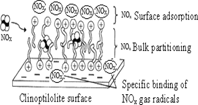 Sketching drawing of (NOx) forming a bi-layer (tail to tail) on the surface of clinoptilolite, NOx partitioning into the bulk and specific base binding of gas radicals.