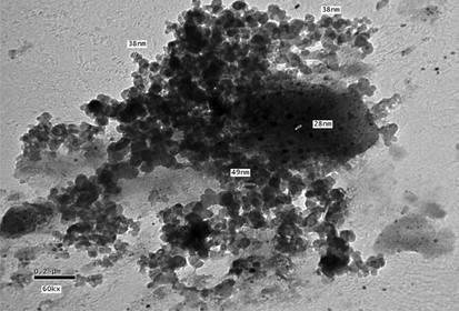 TEM of nano-clinoptilolite.
