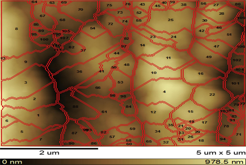AFM structure of DBP sample stabilized by 3% nano-clinoptilolite.