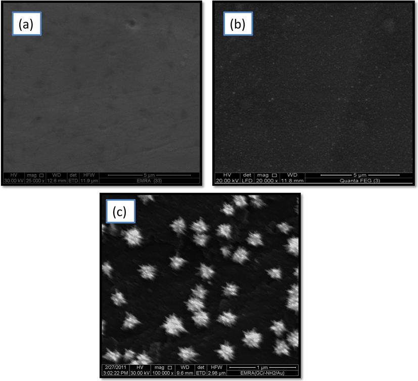 FE-SEM micrographs of (a) bare GC, (b) –NH2/GC, and (c) AuNPs–NH2/GC electrodes.
