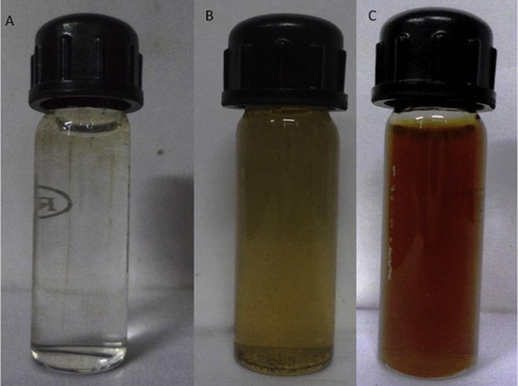 Change of color indicates formation of Ag NPs. Here, A: AgNO3 solution, B: AgNO3 + Ocimum gratissimum leaf extract at 0 h, C: AgNO3 + Ocimum gratissimum leaf extract at 48 h. Dark purple coloration indicates formation of Ag NPs.
