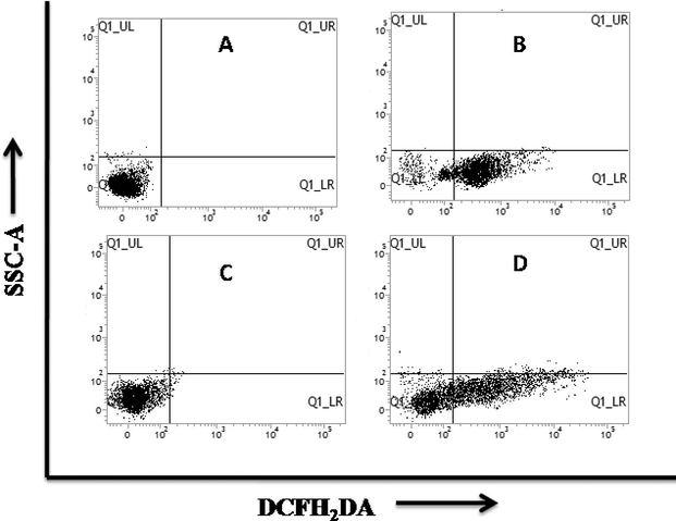 Intracellular ROS generation of Ag NPs in multidrug resistant E. coli and S. aureus strains detected by Flow cytometry. A: E. coli Control; B: E. coli treated; C: S. aureus Control; D: S. aureus Treated.