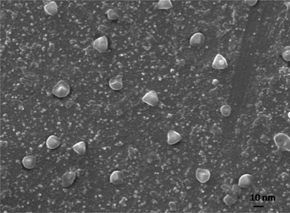 Scanning electron microscopy (SEM) of synthesized Ag NPs.