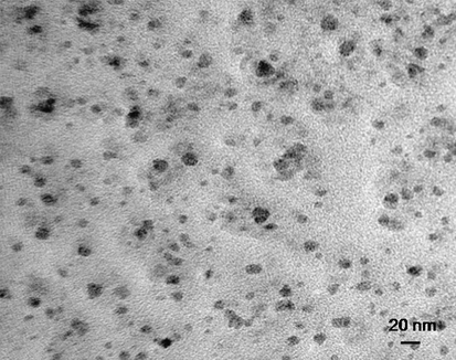 Transmission electron microscopy (TEM) of synthesized Ag NPs.