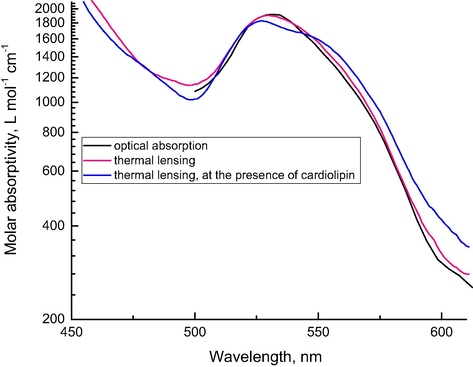 Absorption spectra of cytochrome c (1.1 × 10−5 mol L−1) obtained from thermal lensing (red and blue) and from optical-absorption measurements (black). Red and black spectra are obtained for cyt c in PBS 1X and blue is obtained by adding cardiolipin at a ratio of 1:40.