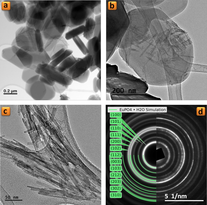 (a–c) TEM images of TiP_0.1 sample and (d) selected area electron diffraction (SAED) patterns (left: simulated, right: experimental) corresponding to the image (c).