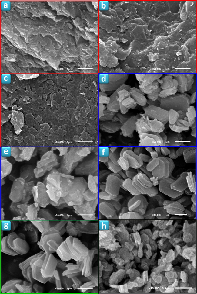 SEM images of TiPPr_x samples (x = 10−4 (a), 10−3 (b), 0.01 (c), 0.025 (d), 0.0375 (e), 0.0625 (f), 0.075 (g) and 0.1 (h)).