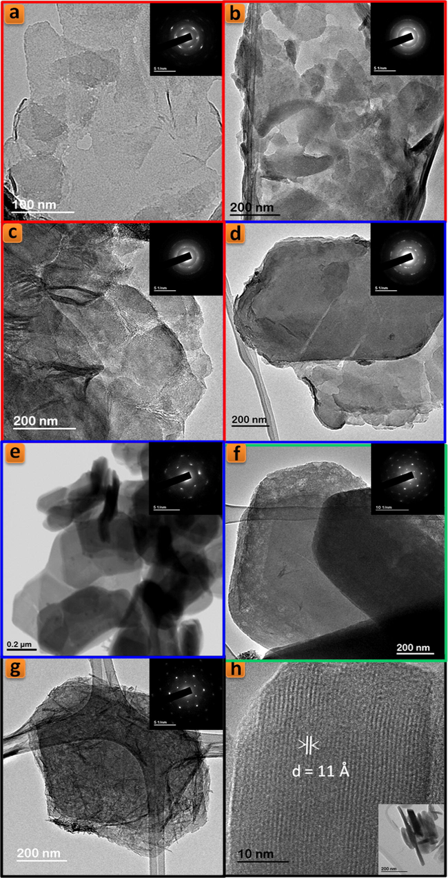 TEM images of TiPPr_x samples (x = 10−4 (a), 10−3 (b), 0.01 (c), 0.025 (d), 0.05 (e), 0.075 (f) and 0.1 (g and h)).