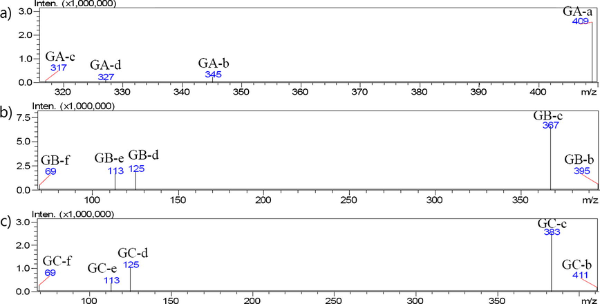 LC-ESI-MS/MS spectra of separated (a) GA, (b) GB and (c) GC from standard. MS conditions: Interface voltage; −3.5 kV (negative mode), 4.5 kV (positive mode), nebulizing gas flow rate; 3 L/min, drying gas; 15 L/min, desolvation line temp.; 250 °C, heat block temp.; 400 °C, collision energy; 16 eV (GA), −18 eV (GB, GC).