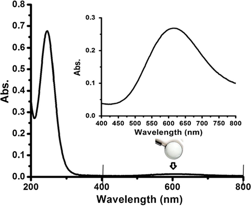 UV–Vis. spectrum of complex 2 dissolved in water at RT.