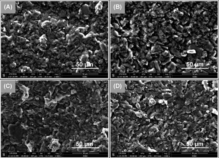 SEM micrographs of CPSs. The magnification is 2000×. (A) bBare paste + DBP, (B) 2%TH-TPB + DBP, (C) bare paste + NPOE and (D) 2%TH-TPB + NPOE.