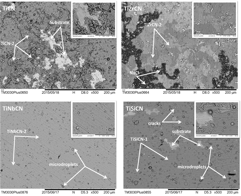 SEM images of all coatings at the end of the electrochemical tests at 500× and 2500× (inset pictures) magnifications.