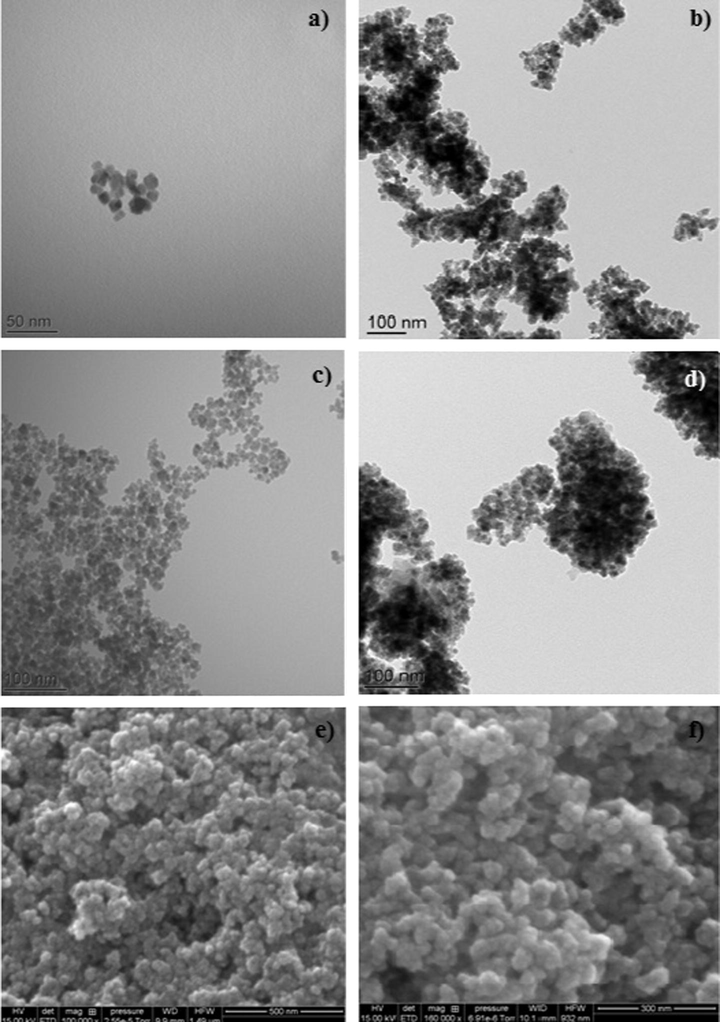 TEM images of (a) neat Fe3O4, (b) Fe3O4@SiO2, (c) MNP-NH2, (d) MNP- Trz; SEM images of (e) neat Fe3O4, (f) MNP-Trz magnetic nanoparticles.