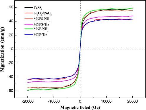 Magnetization curves of MNP and MNPS nanoparticles at room temperature.