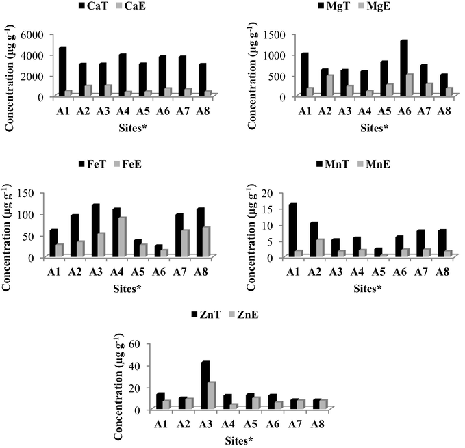Total (T) concentration of Ca, Mg, Fe, Mn and Zn in bulbs compared to concentration in water extract (E) Sites∗: A1-Durban, A2-Umzinto, A3-Eshowe, A4-Verulam, A5-Stanger, A6-Tongaat, A7-KwaNkalokazi and A8-Ixopo.