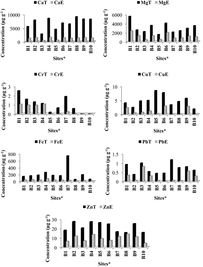 Total (T) concentration of Ca, Mg, Cr, Cu, Fe, Pb and Zn in leaves compared to concentration in water extract (E). Sites∗: B1-Amandawe, B2-Eshowe, B3-Ntumeni, B4-Mangeti, B5-Maphumulo, B6-Stanger, B7-Ndwedwe, B8-Ixopo, B9-KwaNkalokazi and B10-Highflats.