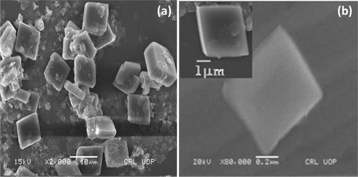 SEM images of MOF-5.