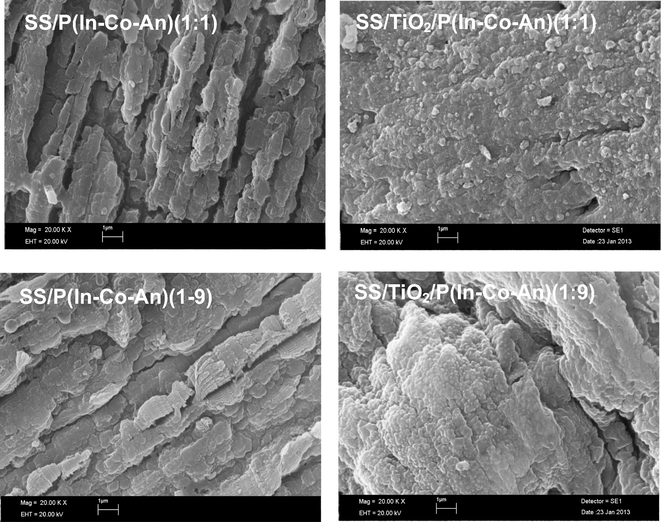 The SEM micrographs of SS/P(In-co-An)(1:1), SS/P(In-co-An)(1:9), SS/TiO2/P(In-co-An)(1:1) and SS/TiO2/P(In-co-An)(1:1).