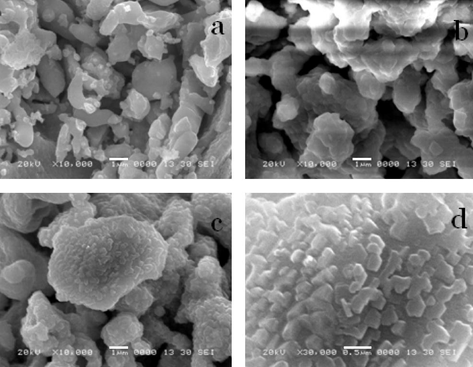 Scanning electron microscopy image of barium ferrite prepared by the citrate gel method calcined at (a) 700 °C, (b) 800 °C, (c) and (d) 900 °C (with different magnifications).