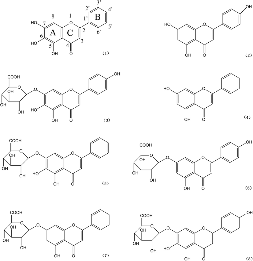 Chemical structures of the eight high content flavonoids. (1) baicalein; (2) apigenin; (3) scutellarin; (4) chrysin; (5) baicalin; (6) apigenin-7-O-glucuronide; (7) chrysin-7-O-glucuronide; (8) isocarthamidin-7-O-glucuronide.