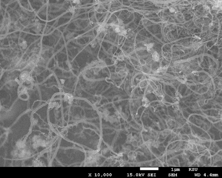 FESEM image of the carbon nanofibers formed over Fe-Al-Imp spent catalyst at different magnifications.