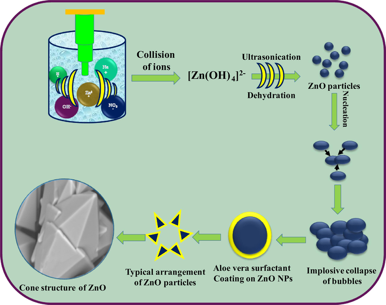 Schematic illustration of formation of Cone-like structures of ZnO:Nd3+ at different temperatures.