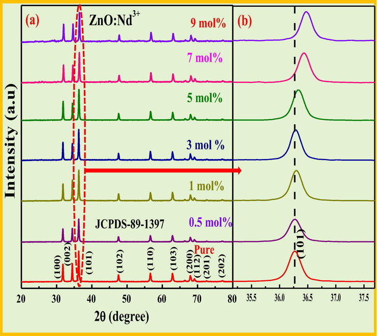 PXRD profiles of pure and Nd3+ (0.5–9 mol %) nanostructures, (b) magnified view of peak (1 0 1) showing shift towards larger angle side.