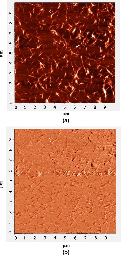 Characterization of the self-assembled fibrous structures of trishydrazone hydrogels (3); (a) 2D AFM topography image and (b) 2D AFM phase contrast image.